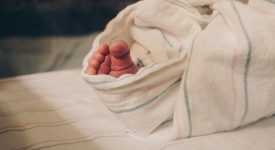 https://www.maternita.it/una-culla-per-la-vita-dei-neonati-abbandonati.html