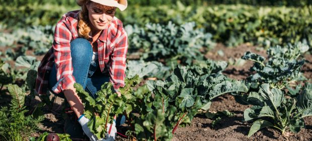 indennita-maternita-come-funziona-lavoratrici-agricole