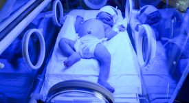 ittero-neonatale-quando-e-fisiologico-o-patologico