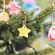 natale-diy-decorazioni-in-pasta-di-sale
