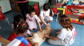 a-firenze-il-cane-serena-accompagna-i-bambini-in-sala-operatoria-e-li-aspetta-al-risveglio