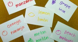 benefici-bilinguismo-scuola-materna