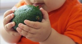 i-dietologi-confermano-und-dieta-vegana-e-possibile-anche-per-i-bambini-ma-con-molti-accorgimenti