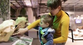 torino-arriva-il-passaporto-culturale-per-mamme-e-bebe