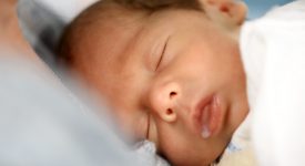 le-meraviglie-del-latte-fondamentale-anche-per-lo-sviluppo-dellintestino