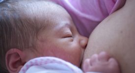 allattamento-che-cose-il-das-e-come-funziona