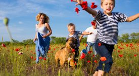 famiglia-vuol-dire-inseparabili