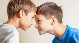 fratelli-che-litigano-cosa-fare.html