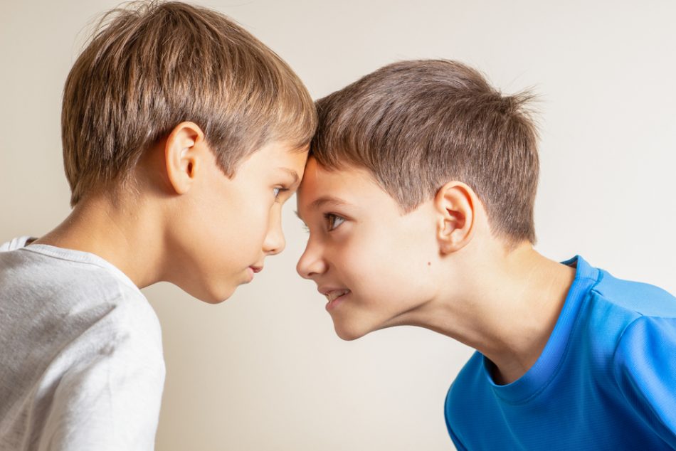 fratelli-che-litigano-cosa-fare.html