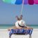 veneto-ombrelloni-gratis-in-spiaggia-per-le-neomamme