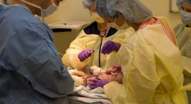 operati-al-cuore-due-neonati-con-la-tecnica-del-mini-catetere-prima-volta-in-italia