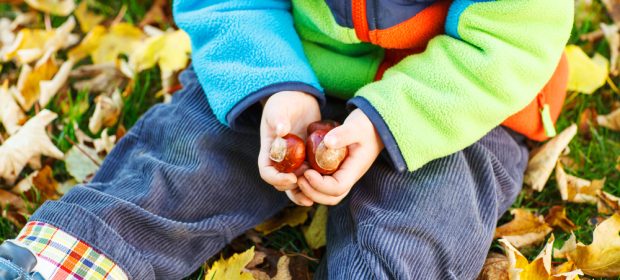 castagne-ai-bambini-da-che-eta-e-come-prepararle