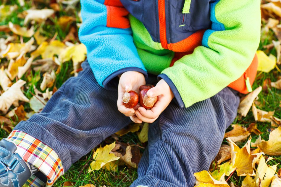 castagne-ai-bambini-da-che-eta-e-come-prepararle