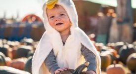 neonati-quale-costume-scegliere-per-halloween-ecco-le-idee-piu-originali