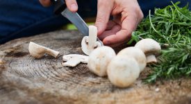 funghi-in-gravidanza-si-o-no