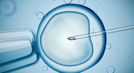 sterile-dopo-la-chemio-ha-dato-alla-luce-un-figlio-grazie-alla-maturazione-in-vitro