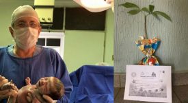 un-ginecologo-brasiliano-regala-un-albero-da-piantare-per-ogni-bambino-nato