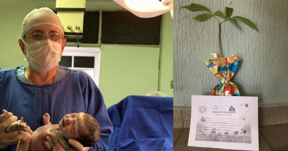 un-ginecologo-brasiliano-regala-un-albero-da-piantare-per-ogni-bambino-nato