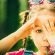 squisita-inefficacia-dei-bambini