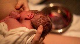 allattare-prima-ora-di-vita-fondamentale