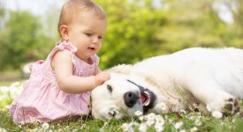 i-benefici-di-crescere-con-un-cane