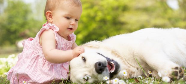 i-benefici-di-crescere-con-un-cane