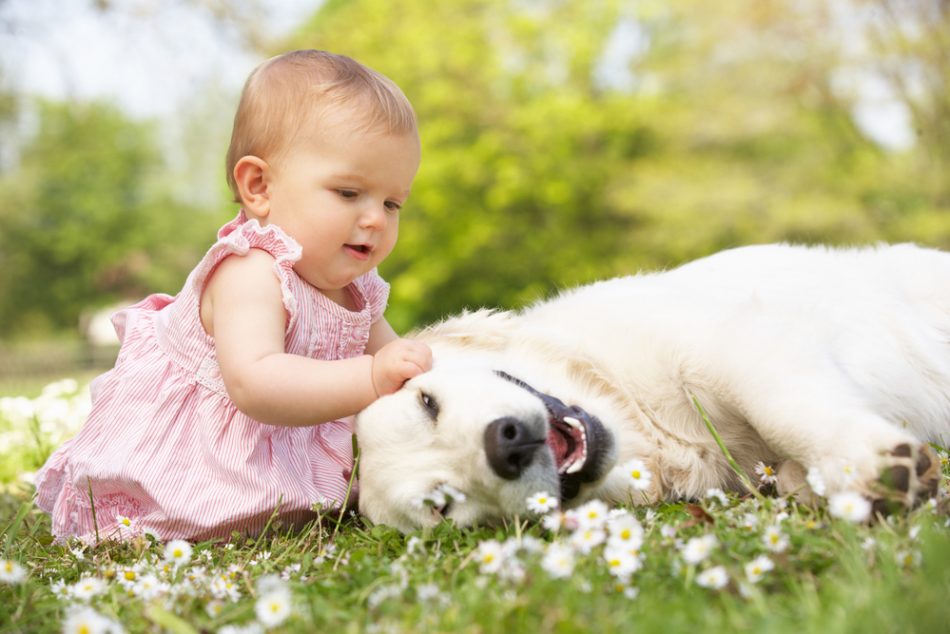 i-benefici-di-crescere-con-un-cane