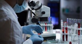 cosa-sono-i-test-genetici-pre-concepimento-e-quando-farli