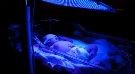 ittero-neonatale-informazioni