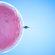 fertilita:-uno-studio-rivela-che-gli-ovuli-sanno-"scegliere"-gli-spermatozoi