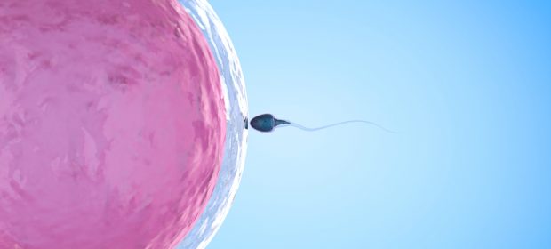 fertilita:-uno-studio-rivela-che-gli-ovuli-sanno-"scegliere"-gli-spermatozoi