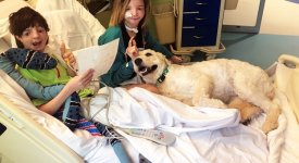 pet-therapy-la-bella-storia-di-malachi-e-lexie