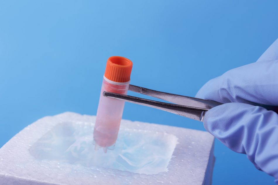 social-freezing-la-conservazione-di-ovociti