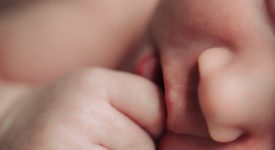 bruxelles-installata-prima-culla-termica-per-i-neonati-abbandonati
