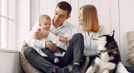 preparare-il-cane-allarrivo-del-neonato