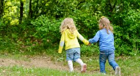 il-verde-aiuta-il-sistema-immunitario-lo-studio-finlandese