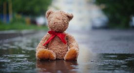quelle-storie-di-abbandono-che-non-vorremmo-mai-sentire