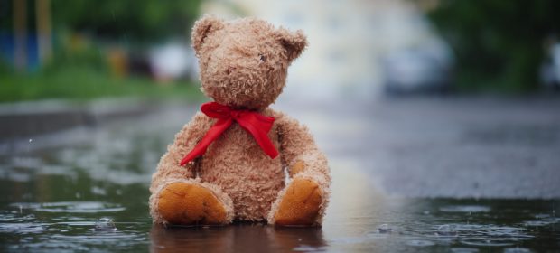 quelle-storie-di-abbandono-che-non-vorremmo-mai-sentire