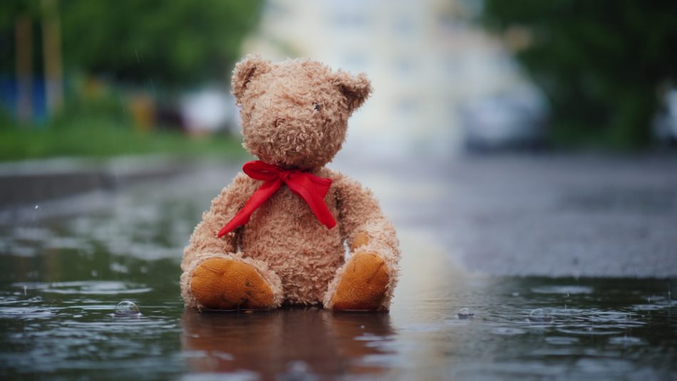 quelle-storie-di-abbandono-che-non-vorremmo-mai-sentire