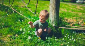 trentino-parchi-giochi-per-bambini-contaminati-dai-pesticidi-tutto-lanno
