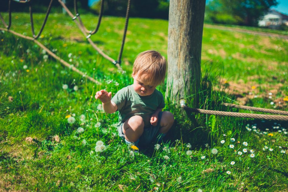 trentino-parchi-giochi-per-bambini-contaminati-dai-pesticidi-tutto-lanno