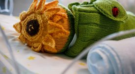 il-dolcissimo-carnevale-della-terapia-intensiva-neonatale-di-niguarda
