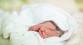 neonata-abbandonata-a-genova-con-4-pannolini-e-un-bigliettino-utilizzata-per-la-prima-volta-la-culla-per-la-vita