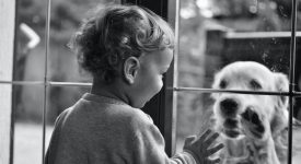 cosa-fare-se-il-bambino-ha-paura-degli-animali