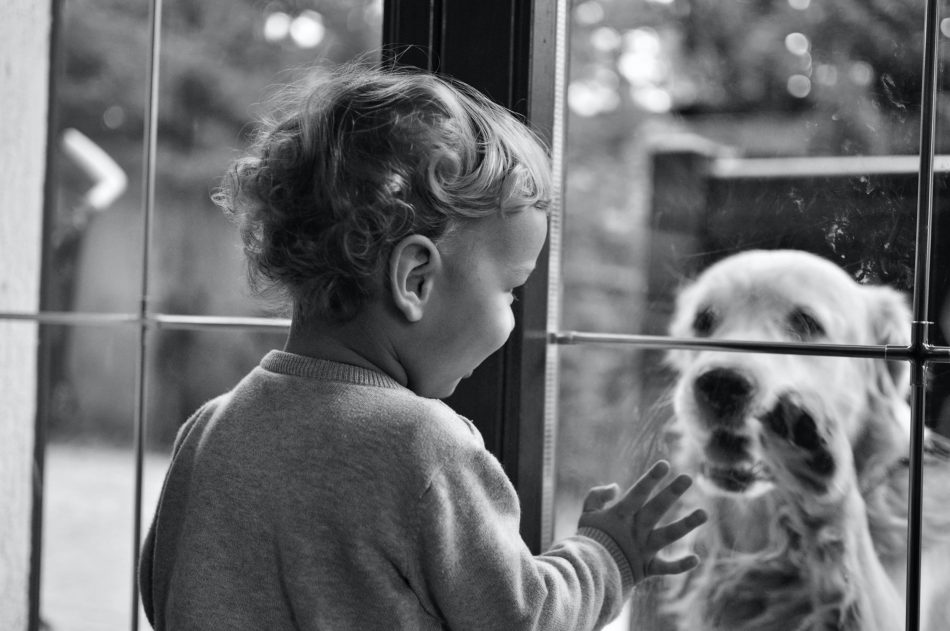 cosa-fare-se-il-bambino-ha-paura-degli-animali