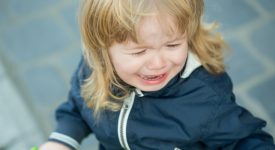Ha quasi dell’incredibile quanto accaduto vicino a Bologna dove una coppia di genitori ha letteralmente dimenticato il figlio di appena 7 anni lungo la strada.