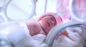 il-test-del-dna-sbaglia-il-sesso-del-bambino-nessuno-se-ne-accorge-al-parto