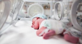 enterovirus-cose-e-cosa-comporta